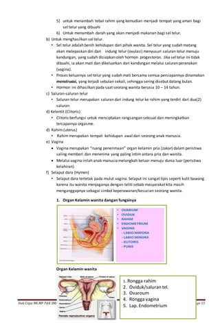 Hak Citpa MGMP PAK SMA Negeri 1 Ende Kurikulum KTSP Page 15
5) untuk menambah tebal rahim yang kemudian menjadi tempat yang aman bagi
sel telur yang dibuahi
6) Untuk menambah darah yang akan menjadi makanan bagi sel telur.
b) Untuk menghasilkan sel telur.
• Sel telur adalah benih kehidupan dari pihak wanita. Sel telur yang sudah matang
akan melepaskan diri dari indung telur (ovulasi) menyusuri saluran telur menuju
kandungan, yang sudah disiapkan oleh hormon progesteron. Jika sel telur ini tidak
dibuahi, ia akan mati dan dikeluarkan dari kandungan melalui saluran peranakan
(vagina).
• Proses keluarnya sel telur yang sudah mati bersama semua persiapannya dinamakan
menstruasi, yang terjadi sebulan sekali, sehingga sering disebut datang bulan.
• Hormon ini dihasilkan pada saat seorang wanita berusia 10 – 14 tahun.
c) Saluran-saluran telur
• Saluran telur merupakan saluran dari indung telur ke rahim yang terdiri dari dua(2)
saluran
d) Kelentit (Clitoris)
• Clitoris berfungsi untuk menciptakan rangsangan seksual dan meningkatkan
tercapainya orgasme.
d) Rahim (uterus)
• Rahim merupakan tempat kehidupan awal dari seorang anak manusia.
e) Vagina
 Vagina merupakan “ruang penerimaan” organ kelamin pria (zakar) dalam peristiwa
saling memberi dan menerima yang paling intim antara pria dan wanita.
 Melalui vagina inilah anak manusia melangkah keluar menuju dunia luar (peristiwa
kelahiran).
f) Selaput dara (Hymen)
• Selaput dara terletak pada mulut vagina. Selaput ini sangat tipis seperti kulit bawang
karena itu wanita menjaganya dengan teliti sebab masyarakat kita masih
menganggapnya sebagai simbol keperawanan/kesucian seorang wanita.
1. Organ Kelamin wanita dangan fungsinya
Organ Kelamin wanita
1. Rongga rahim
2. Oviduk/saluran tel.
3. Ovaroum
4. Rongga vagina
5. Lap. Endometrium
 