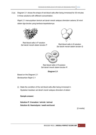 PROGRAM KECEMERLANGAN SPM SEKOLAH BERASRAMA PENUH 2014 
BIOLOGY 4551 | MODUL PERFECT SCORE SBP 4 
2.(a) Diagram 2.1 shows ...