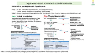 Proteinuria Algorithm Management modul diskusi topik proteinuria 2022pptx | PPTX