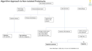Proteinuria Algorithm Management modul diskusi topik proteinuria 2022pptx | PPTX