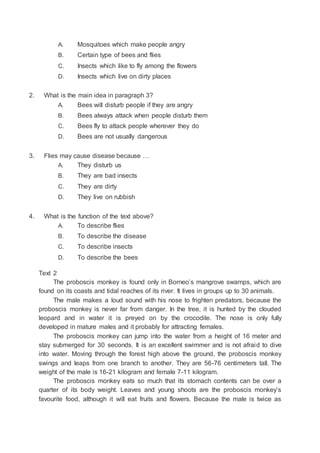 A. Mosquitoes which make people angry
B. Certain type of bees and flies
C. Insects which like to fly among the flowers
D. Insects which live on dirty places
2. What is the main idea in paragraph 3?
A. Bees will disturb people if they are angry
B. Bees always attack when people disturb them
C. Bees fly to attack people wherever they do
D. Bees are not usually dangerous
3. Flies may cause disease because …
A. They disturb us
B. They are bad insects
C. They are dirty
D. They live on rubbish
4. What is the function of the text above?
A. To describe flies
B. To describe the disease
C. To describe insects
D. To describe the bees
Text 2
The proboscis monkey is found only in Borneo’s mangrove swamps, which are
found on its coasts and tidal reaches of its river. It lives in groups up to 30 animals.
The male makes a loud sound with his nose to frighten predators, because the
proboscis monkey is never far from danger. In the tree, it is hunted by the clouded
leopard and in water it is preyed on by the crocodile. The nose is only fully
developed in mature males and it probably for attracting females.
The proboscis monkey can jump into the water from a height of 16 meter and
stay submerged for 30 seconds. It is an excellent swimmer and is not afraid to dive
into water. Moving through the forest high above the ground, the proboscis monkey
swings and leaps from one branch to another. They are 56-76 centimeters tall. The
weight of the male is 16-21 kilogram and female 7-11 kilogram.
The proboscis monkey eats so much that its stomach contents can be over a
quarter of its body weight. Leaves and young shoots are the proboscis monkey’s
favourite food, although it will eat fruits and flowers. Because the male is twice as
 