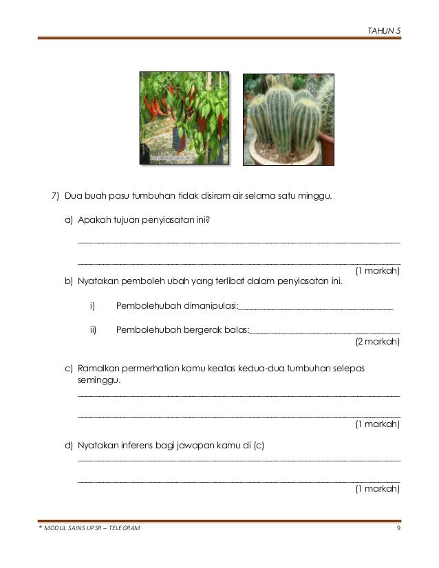 Modul Sains Tahun 5  Modul Pdp Sains Tahun 6 kssr  Akhir tahun sains