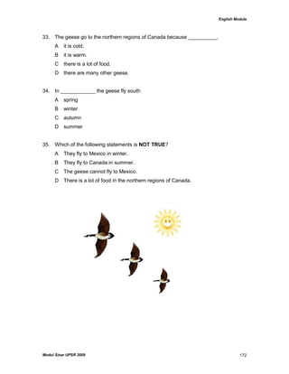 English Module
Modul Sinar UPSR 2009 172
33. The geese go to the northern regions of Canada because __________.
A it is cold.
B it is warm.
C there is a lot of food.
D there are many other geese.
34. In ____________ the geese fly south
A spring
B winter
C autumn
D summer
35. Which of the following statements is NOT TRUE?
A They fly to Mexico in winter.
B They fly to Canada in summer.
C The geese cannot fly to Mexico.
D There is a lot of food in the northern regions of Canada.
 
