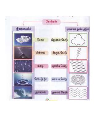 Modul transisi seni