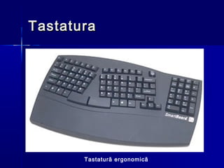 Tastatura




       Tastatură ergonomică
 