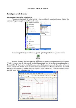 Modulul 4 – Calcul tabelar


Primii pasi cu foile de calcul

Pornirea unei aplicatii de calcul tabelar
       Pentru a porni aplicatia de calcul tabelar - Microsoft Excel – deschideti meniul Start si din
optiunea Programs alegeti iconita Microsoft Excel.




       Daca exista pe desktop o iconita Excel, porniti aplicatia prin dublu clic pe acea iconita.




        Structura ferestrei Microsoft Excel se aseamana cu cea a ferestrelor sistemului de operare
Windows: contine bara de titlu, bara de meniuri, bara de stare, bare de derulare si suprafata de lucru.
Deosebit fata de alte ferestre este faptul ca are mai multe bare de instrumente. Suprafata de lucru a
acestei ferestre este diferita decat cea a aplicatiei de calcul tabelar, Microsoft Word. Un document
Excel este un registru de calcul si lucreaza cu foi de calcul (worksheets). Elementele unei celule de
calcul le puteti vedea in figura de mai jos.
 
