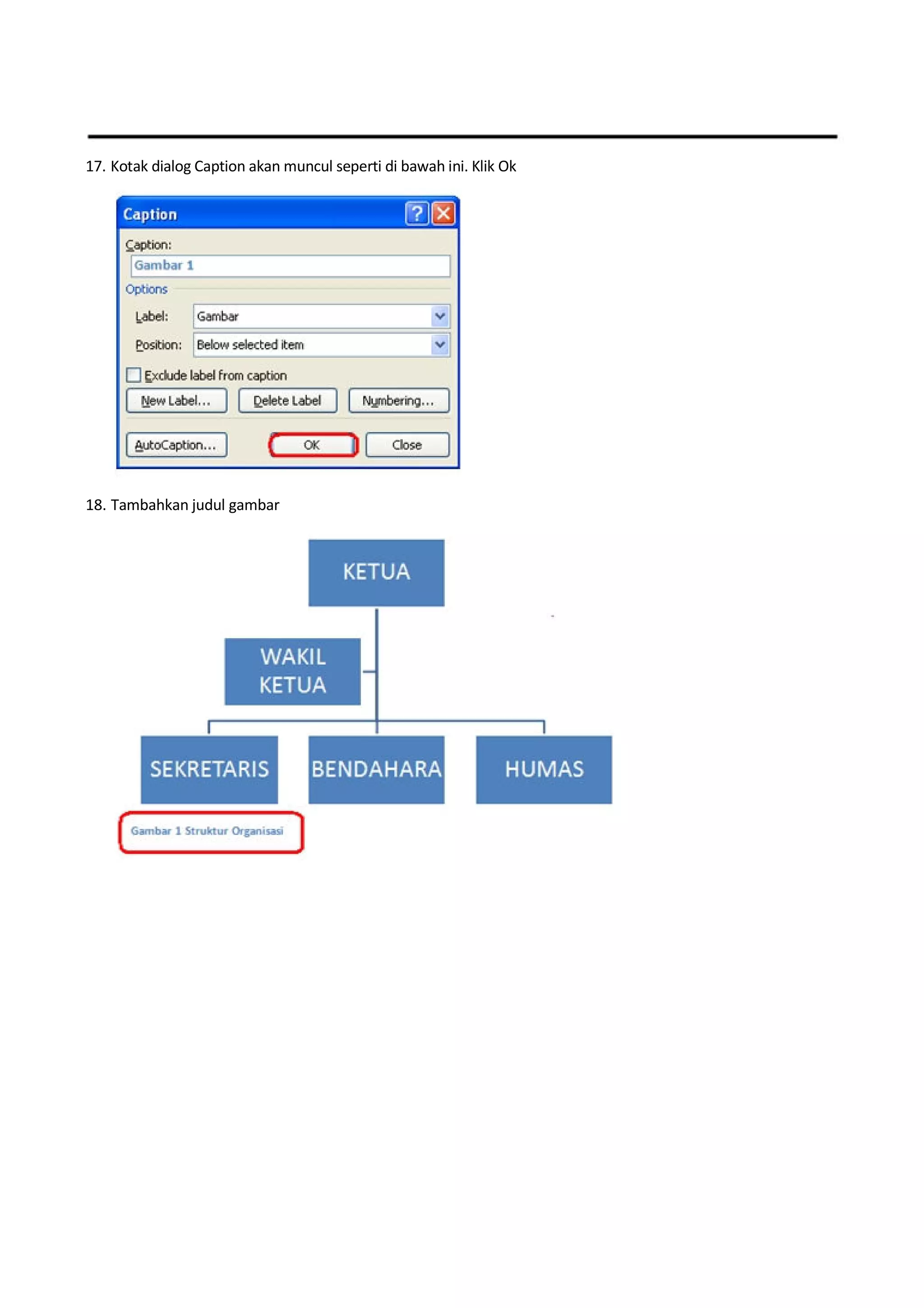 17. Kotak dialog Caption akan muncul seperti di bawah ini. Klik Ok
18. Tambahkan judul gambar
 
