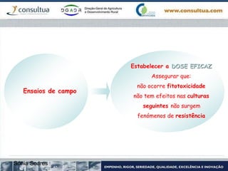 Sónia Soares
Ensaios de campo
Estabelecer a DOSE EFICAZ
Assegurar que:
não ocorre fitotoxicidade
não tem efeitos nas culturas
seguintes não surgem
fenómenos de resistência
 