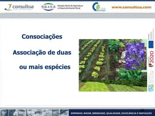 Consociações
Associação de duas
ou mais espécies
16
 