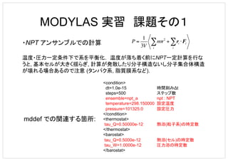 Modylas講習会