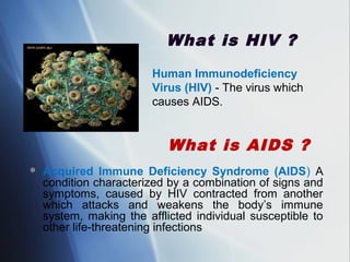 Modyul 2 sub modyul 2.4 paksa 2 sesyon 2 hiv aids 101 basics | PPT