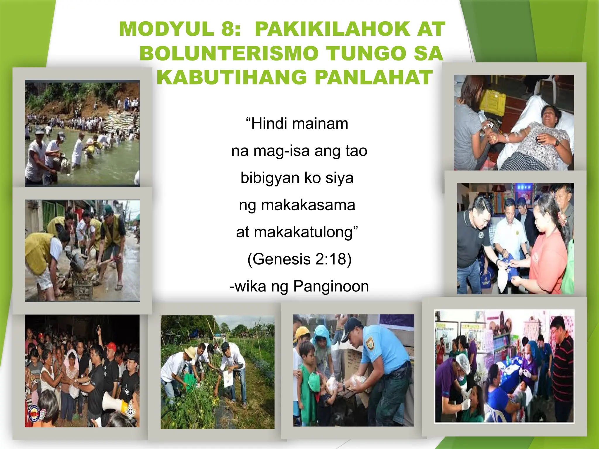 Bir shisha shampan va uchta musht bilan sikilgan mushukning porno videosi