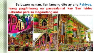 Sa Luzon naman, ilan lamang dito ay ang Pahiyas, 
isang pagdiriwang na pasasalamat kay San Isidro 
Labrador para sa magandang ani. 
 