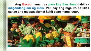 Ang Bacao naman ay para kay San Jose dahil sa 
magandang ani ng mais. Patunay ang mga ito na likas 
sa tao ang magpasalamat kahit saan mang lugar. 
 