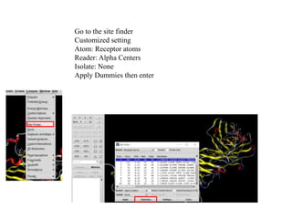 Go to the site finder
Customized setting
Atom: Receptor atoms
Reader: Alpha Centers
Isolate: None
Apply Dummies then enter
 
