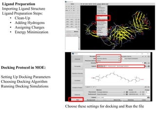 Ligand Preparation
Importing Ligand Structure
Ligand Preparation Steps:
• Clean-Up
• Adding Hydrogens
• Assigning Charges
• Energy Minimization
Choose these settings for docking and Run the file
Docking Protocol in MOE:
Setting Up Docking Parameters
Choosing Docking Algorithm
Running Docking Simulations
 