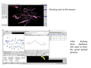 Docking start in this manner
After docking
these databases
tabs open to show
the actual docked
proteins
 