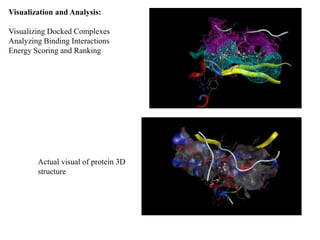 Visualization and Analysis:
Visualizing Docked Complexes
Analyzing Binding Interactions
Energy Scoring and Ranking
Actual visual of protein 3D
structure
 