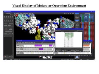 Visual Display of Molecular Operating Environment
 