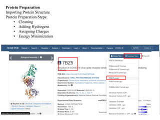 Protein Preparation
Importing Protein Structure
Protein Preparation Steps:
• Cleaning
• Adding Hydrogens
• Assigning Charges
• Energy Minimization
 