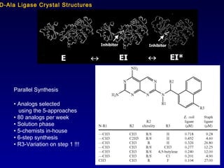 Parallel Synthesis
• Analogs selected
using the 5-approaches
• 80 analogs per week
• Solution phase
• 5-chemists in-house
• 6-step synthesis
• R3-Variation on step 1 !!!
D-Ala Ligase Crystal Structures
 