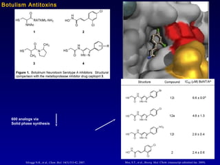 Silvaggi N.R., et al., Chem. Biol. 14(5):533-42, 2007.
600 analogs via
Solid phase synthesis
Moe, S.T., et al., Bioorg. Med. Chem. (manuscript submitted Jan. 2009).
Botulism Antitoxins
 