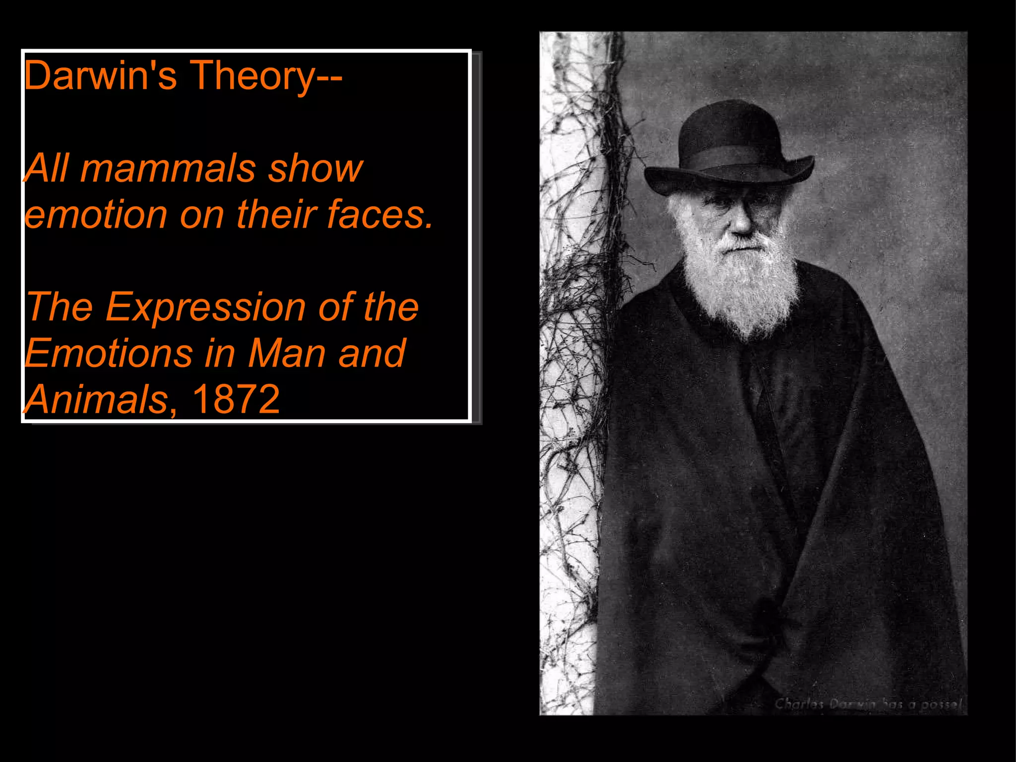Darwin's Theory--   All mammals show emotion on their faces.   The Expression of the Emotions in Man and Animals , 1872 