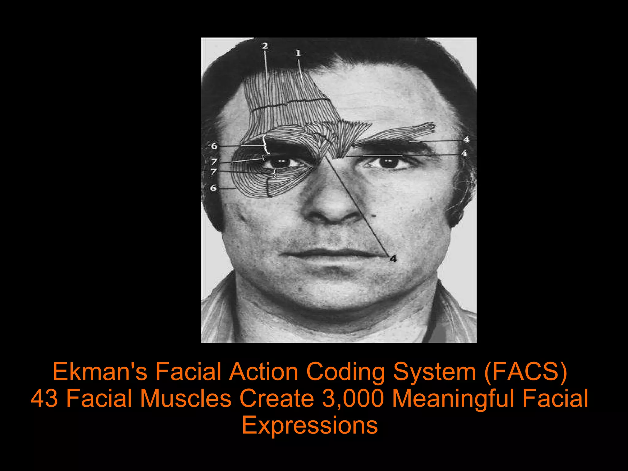 Ekman's Facial Action Coding System (FACS) 43 Facial Muscles Create 3,000 Meaningful Facial Expressions 