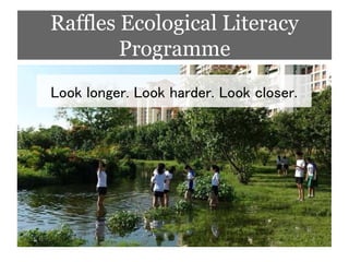 Look longer. Look harder. Look closer.
Raffles Ecological Literacy
Programme
 