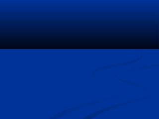 Moelle    poly 5 p(fil eminimizer)