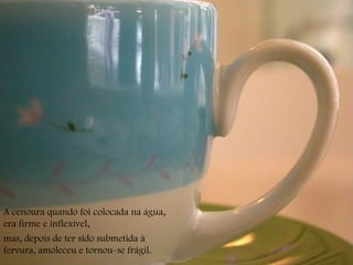 A cenoura quando foi colocada na água, era firme e inflexível, mas, depois de ter sido submetida à fervura, amoleceu e tornou-se frágil. 