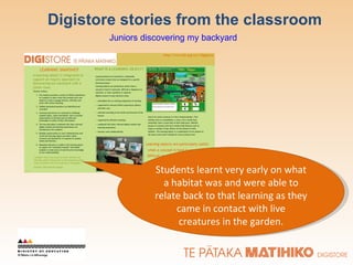 Digistore stories from the classroom Students learnt very early on what a habitat was and were able to relate back to that learning as they came in contact with live creatures in the garden. Juniors discovering my backyard 