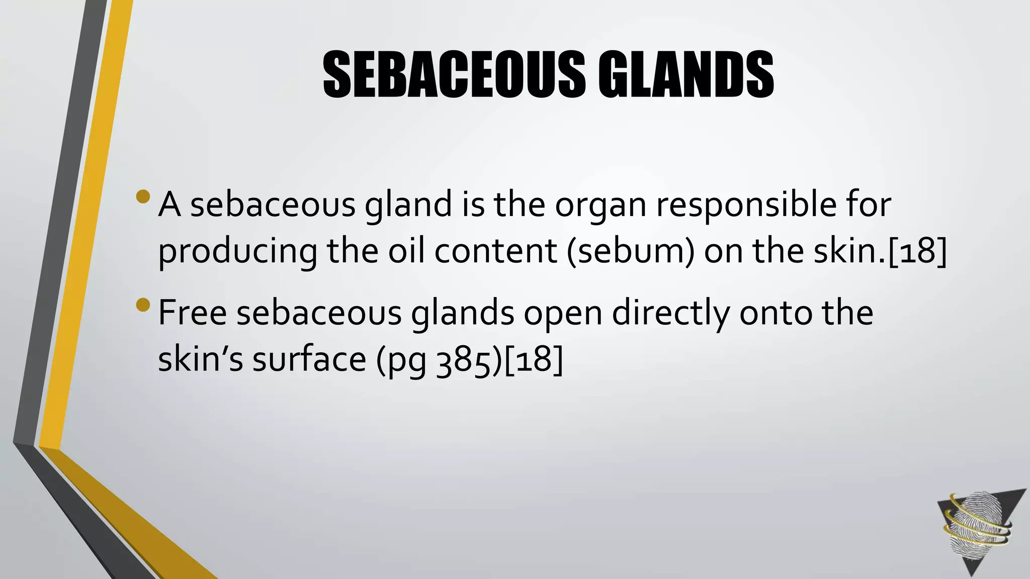 SEBACEOUS GLANDS 
• A sebaceous gland is the organ responsible for 
producing the oil content (sebum) on the skin.[18] 
• Free sebaceous glands open directly onto the 
skin’s surface (pg 385)[18] 
 