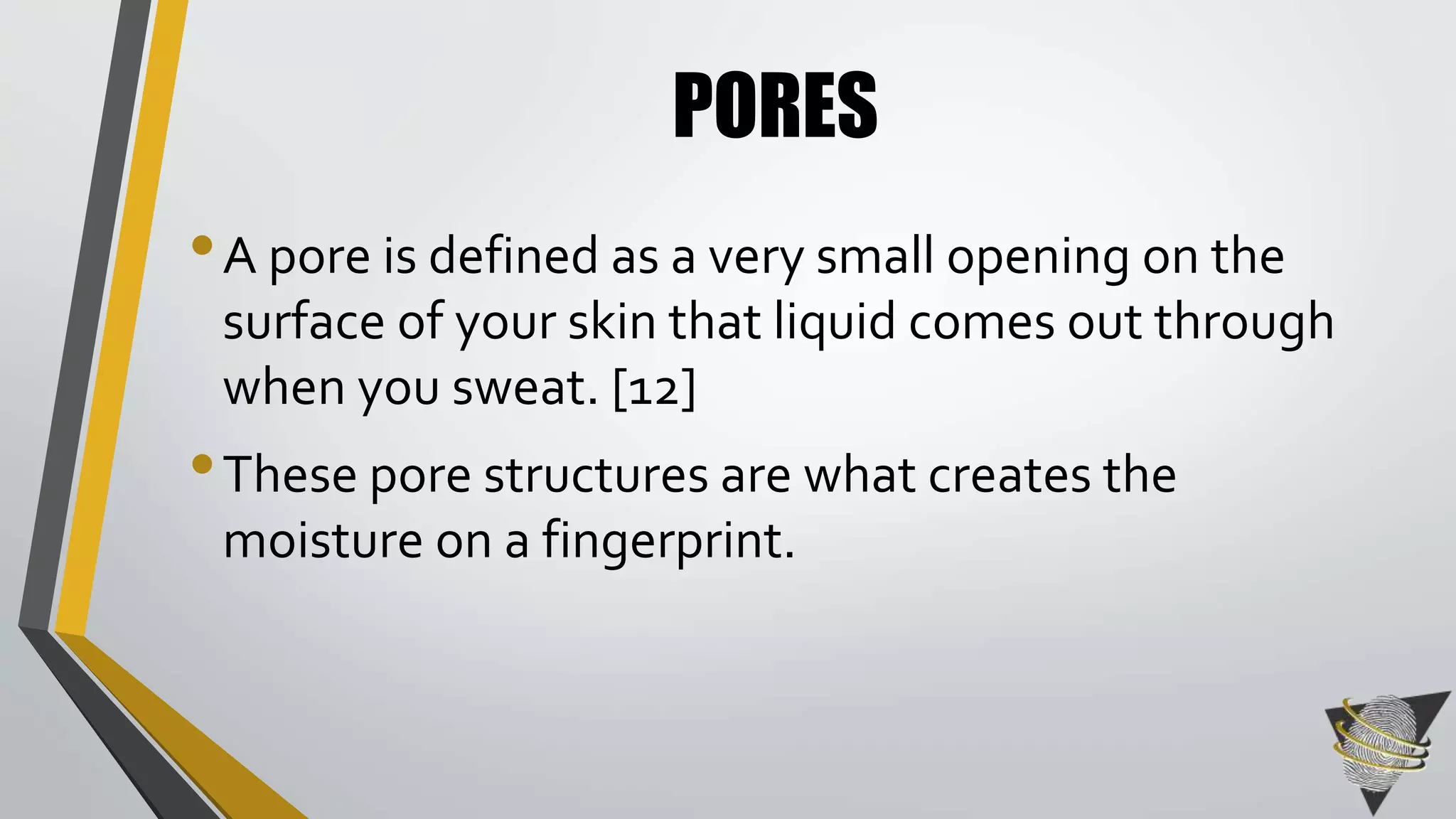 PORES 
• A pore is defined as a very small opening on the 
surface of your skin that liquid comes out through 
when you sweat. [12] 
•These pore structures are what creates the 
moisture on a fingerprint. 
 