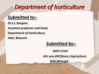 Department of horticulture
Submitted to:-
Dr.S.L.Sangani ,
Assistant professor and head,
Department of horticulture,
NAU, Bharuch
Submitted by:-
Sahil virani
6th sem.BSC(Hons.) Agriculture,
NAU,Bharuch
 