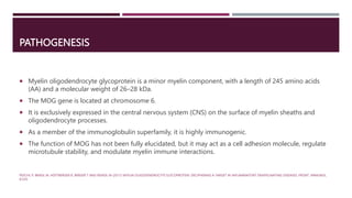 MOG and IgG-4 related Neurological manifestation.pptx