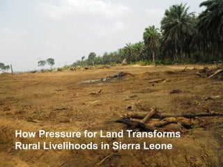 How Pressure for Land Transforms
Rural Livelihoods in Sierra Leone
 