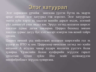 Элэг сорвижин үрчийж зангилаа үүсгэн бүтэц нь эвдрэх
архаг өвчний элэг хатуурал гэж нэрлэнэ. Элэг хатуурлын
эмнэл зүйн илрэл нь хаалган венийн даралт ихдэх, элэгний
үйл давшигуй унах явдал юм. Эрүүл элгэнд коллаген ширхэг
хаалган зурвас дагаж төвлөрнө. Цирроз болоход зөвхөн
хаалган зурвас дагуу бус хэлтэнцэрт нэвтрэн төв вений тойрч
ургана.
Цирроз өвчний үед нийлэгжих коллаген ширхэгийн гол эх
үүсвэр нь ИТО эс юм. Циррозоор өвчилсөн элгэнд энэ эсийн
витамин А агуулах чанар алдарч коллаген үүсгэгч болж
хувирна. Үрэвслийн болон купферийн эсүүдээс гаралт
ургалтын хүчин зүйлс Ито эсийг идэвхжүүлэн
миофибробласт эсүүдэд хувиргана.
 