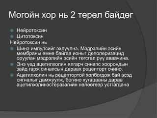 Могойн хор нь 2 төрөл байдөг
 Нейротоксин
 Цитотоксин
Нейротоксин нь
 Шинэ импулсийг эхлүүлнэ. Мэдрэлийн эсийн
мембраны өмнө байгаа ионыг деполеризацид
оруулан мэдрэлийн эсийн төгсгөл рүү аваачина.
 Энэ үед ацетилхолин ялгарч синапс хоорондын
зайд гарж синапсын дараах рецепторт очино.
 Ацетилхолин нь рецептортой холбогдож бай эсэд
сигналыг дамжуулж, богино хугацааны дараа
ацетилхолинэстеразагийн нөлөөгөөр устгагдана
 