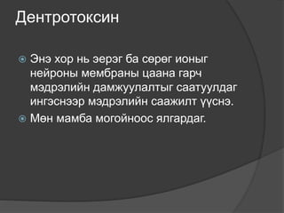Дентротоксин
 Энэ хор нь эерэг ба сөрөг ионыг
нейроны мембраны цаана гарч
мэдрэлийн дамжуулалтыг саатуулдаг
ингэснээр мэдрэлийн саажилт үүснэ.
 Мөн мамба могойноос ялгардаг.
 