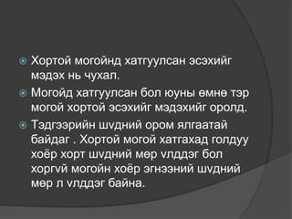  Хортой могойнд хатгуулсан эсэхийг
мэдэх нь чухал.
 Могойд хатгуулсан бол юуны өмнө тэр
могой хортой эсэхийг мэдэхийг оролд.
 Тэдгээрийн шvдний ором ялгаатай
байдаг . Хортой могой хатгахад голдуу
хоёр хорт шvдний мөр vлддэг бол
хоргvй могойн хоёр эгнээний шvдний
мөр л vлддэг байна.
 