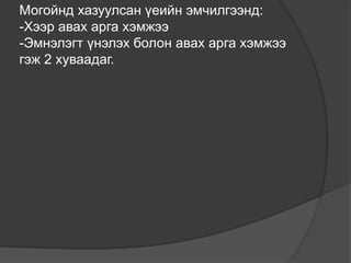 Могойнд хазуулсан үеийн эмчилгээнд:
-Хээр авах арга хэмжээ
-Эмнэлэгт үнэлэх болон авах арга хэмжээ
гэж 2 хуваадаг.
 