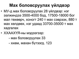 Мах боловсруулах үйлдвэр
• МУ-д мах боловсруулах 28 үйлдвэр: нэг
  ээлжиндээ 3500-4000 бод, 17500-18000 бог
  мал төхөөрч, хоногт 240 т мах сэврээх, 880 т
  мах хөлдөөх, нэг удаад 33700-35000 т мах
  хадгалах
• ХХААХҮЯ-ны мэдээгээр:
     - мах боловсруулах 33
     - хиам, махан бүтээгд. 123
 