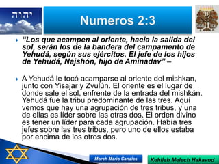  “Los que acampen al oriente, hacia la salida del
sol, serán los de la bandera del campamento de
Yehudá, según sus ejércitos. El jefe de los hijos
de Yehudá, Najshón, hijo de Aminadav” –
 A Yehudá le tocó acamparse al oriente del mishkan,
junto con Yisajar y Zvulún. El oriente es el lugar de
donde sale el sol, enfrente de la entrada del mishkán.
Yehudá fue la tribu predominante de las tres. Aquí
vemos que hay una agrupación de tres tribus, y una
de ellas es líder sobre las otras dos. El orden divino
es tener un líder para cada agrupación. Había tres
jefes sobre las tres tribus, pero uno de ellos estaba
por encima de los otros dos.
Kehilah Melech HakavodMoreh Mario Canales
 