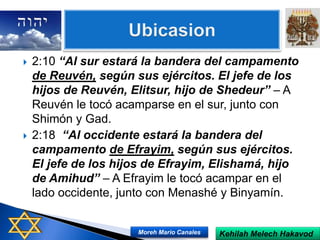  2:10 “Al sur estará la bandera del campamento
de Reuvén, según sus ejércitos. El jefe de los
hijos de Reuvén, Elitsur, hijo de Shedeur” – A
Reuvén le tocó acamparse en el sur, junto con
Shimón y Gad.
 2:18 “Al occidente estará la bandera del
campamento de Efrayim, según sus ejércitos.
El jefe de los hijos de Efrayim, Elishamá, hijo
de Amihud” – A Efrayim le tocó acampar en el
lado occidente, junto con Menashé y Binyamín.
Kehilah Melech HakavodMoreh Mario Canales
 