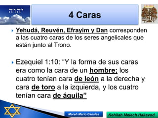  Yehudá, Reuvén, Efrayim y Dan corresponden
a las cuatro caras de los seres angelicales que
están junto al Trono.
 Ezequiel 1:10: “Y la forma de sus caras
era como la cara de un hombre; los
cuatro tenían cara de león a la derecha y
cara de toro a la izquierda, y los cuatro
tenían cara de águila”
Kehilah Melech HakavodMoreh Mario Canales
 