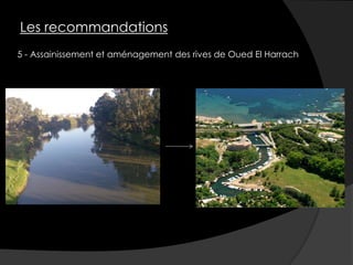 5 - Assainissement et aménagement des rives de Oued El Harrach
Les recommandations
 