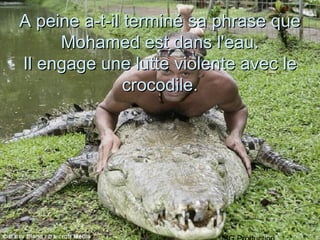 A peine a-t-il terminé sa phrase que
     Mohamed est dans l'eau.
Il engage une lutte violente avec le
               crocodile.
 