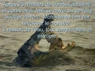 Après 25 minutes de combat acharné,
et après avoir failli se noyer ou se faire
  bouffer 20 fois, Mohammed finit par
          terrasser le monstre.
Il ressort de l'eau, tout sanguinolent et
                 estropié.
 