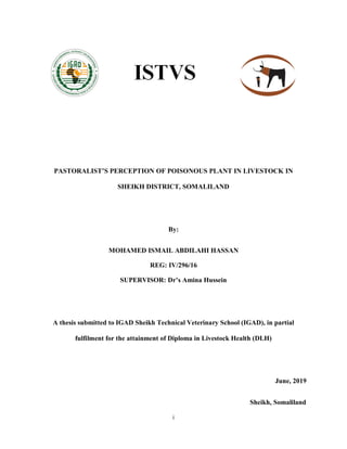 i
PASTORALIST’S PERCEPTION OF POISONOUS PLANT IN LIVESTOCK IN
SHEIKH DISTRICT, SOMALILAND
By:
MOHAMED ISMAIL ABDILAHI HASSAN
REG: IV/296/16
SUPERVISOR: Dr’s Amina Hussein
A thesis submitted to IGAD Sheikh Technical Veterinary School (IGAD), in partial
fulfilment for the attainment of Diploma in Livestock Health (DLH)
June, 2019
Sheikh, Somaliland
 